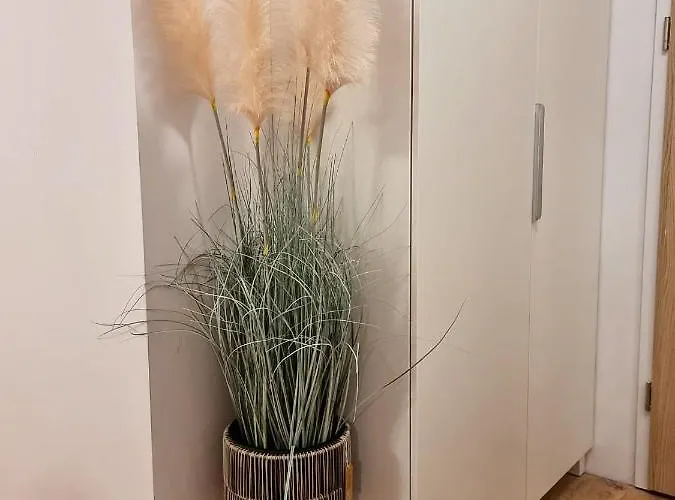 Apartment Lux Amazing View